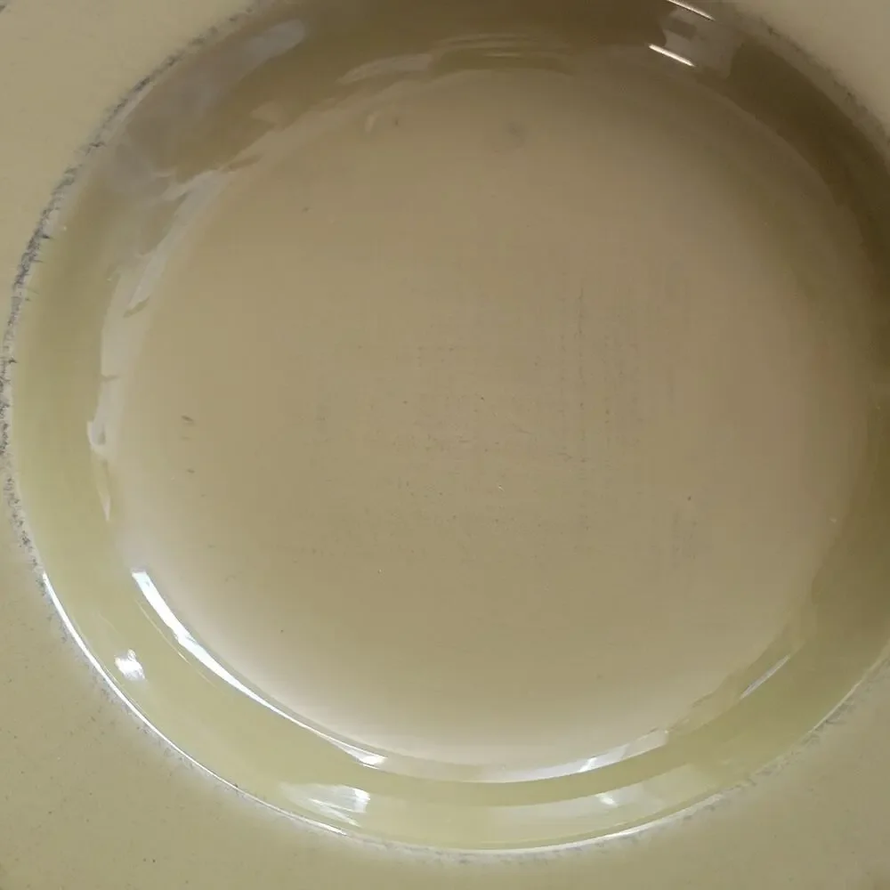 Pier 1 Toscana Palm Green Pasta Bowl Dish Made in Italy Hand Painted Earthenware